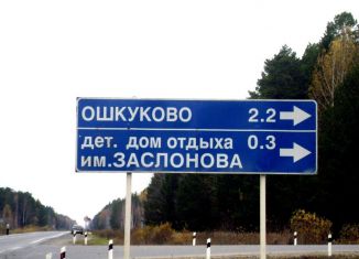 Земельный участок на продажу, 25 сот., село Ошкуково, улица Ленина, 81А