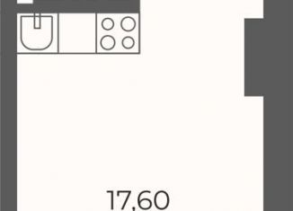 Продаю квартиру студию, 22.8 м2, Екатеринбург, Чкаловский район