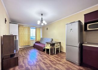 Сдается квартира студия, 29 м2, Санкт-Петербург, улица Доблести, 7к2, ЖК Дом БДТ