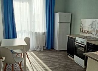 Сдаю в аренду однокомнатную квартиру, 34.5 м2, Ленинградская область, Европейский проспект