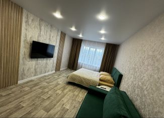 2-комнатная квартира в аренду, 68 м2, Татарстан, проспект Строителей, 74