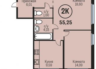 Двухкомнатная квартира на продажу, 55.3 м2, Алтайский край, Южный тракт, 15к3