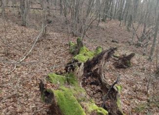 Продаю участок, 29 сот., село Соколиное