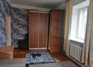 Сдача в аренду однокомнатной квартиры, 30 м2, Новосибирская область, Новая улица, 9