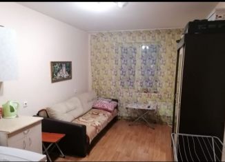 Сдам в аренду квартиру студию, 22 м2, Новосибирская область, улица Петухова, 101