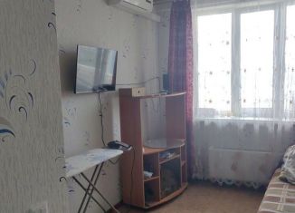 Однокомнатная квартира на продажу, 30 м2, Нижегородская область, Чкаловский проезд, 8