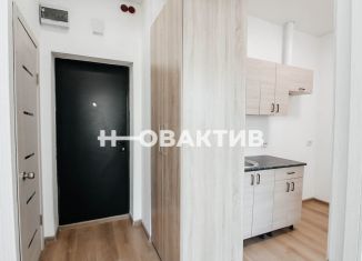 1-комнатная квартира на продажу, 35 м2, Новосибирская область, Сухановская улица, 6А