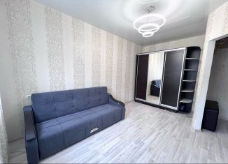 Сдается в аренду 1-комнатная квартира, 33 м2, Ставрополь, улица Рогожникова, 7