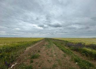 Продаю участок, 100 сот., село Витино, Степная улица