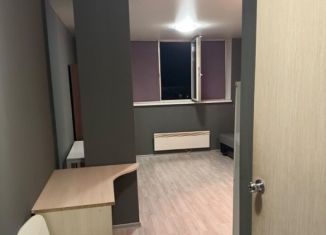 Квартира в аренду студия, 25 м2, посёлок Вёшки, Северная улица, 4