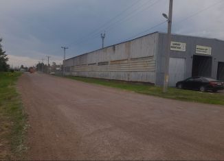 Сдаю в аренду производство, 960 м2, Оренбургская область, Центральный переулок, 28
