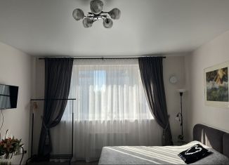Квартира в аренду студия, 28.8 м2, Петрозаводск, набережная Варкауса, 37