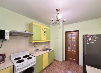 Сдается 1-комнатная квартира, 39 м2, Санкт-Петербург, проспект Науки, 15к1, Выборгский район