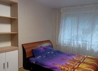 1-комнатная квартира в аренду, 32 м2, Ярославль, улица Елены Колесовой, Дзержинский район