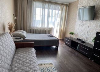 1-комнатная квартира в аренду, 37 м2, Пермский край, Красноармейская улица, 102