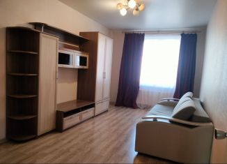2-комнатная квартира в аренду, 50 м2, Новосибирск, улица Петухова, 105, ЖК Матрёшкин Двор