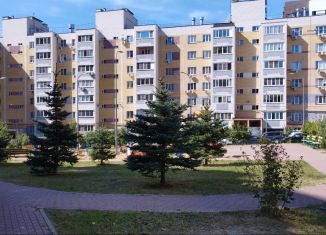 3-комнатная квартира на продажу, 115 м2, Нижегородская область, улица Родионова, 193к3