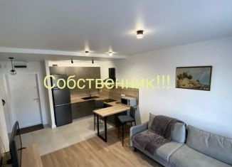 1-комнатная квартира в аренду, 45 м2, Москва, Сигнальный проезд, 16к1, район Отрадное