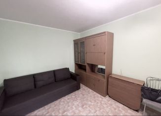 Двухкомнатная квартира в аренду, 46 м2, Новосибирск, улица Ватутина, 53, метро Площадь Маркса