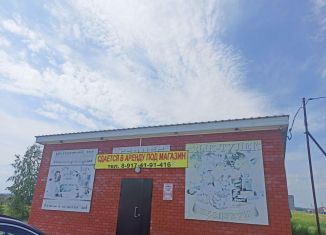 Продажа помещения свободного назначения, 95.9 м2, село Нижнеяркеево, Аграрная улица, 11