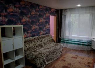 Сдача в аренду 1-комнатной квартиры, 30 м2, Челябинская область, проспект имени Ю.А. Гагарина, 3-я линия, 6