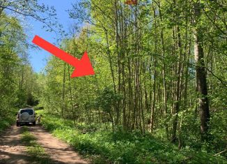 Продажа участка, 10 сот., деревня Щир