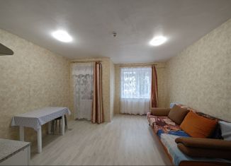 Квартира в аренду студия, 25.7 м2, Ижевск, Заречное шоссе, 25