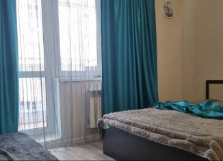 Сдается квартира студия, 30 м2, Татарстан, улица Виктора Полякова, 17А