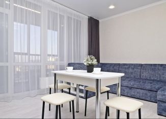 Сдается квартира студия, 33 м2, Казань, улица Аделя Кутуя, 100