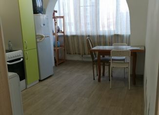 Сдается 1-ком. квартира, 39 м2, Краснодар, Агрохимическая улица, 134, Агрохимическая улица