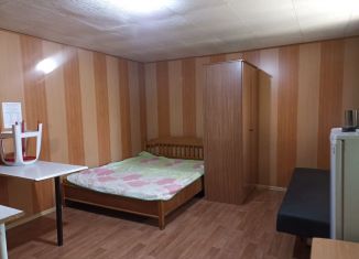 Квартира в аренду студия, 24 м2, хутор Ленина, Солнечная улица, 60