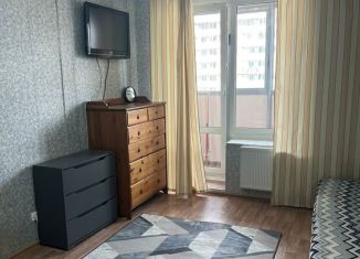 Сдаю квартиру студию, 27.5 м2, Мурино, Охтинская аллея, 10к1, ЖК Девятый вал