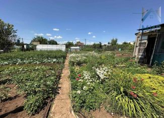 Продажа дачи, 35 м2, СНТ Удача, Сливовая улица