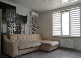 Сдам в аренду однокомнатную квартиру, 38 м2, Ростов-на-Дону, улица Ткачёва, 38с2, ЖК Пятый Элемент