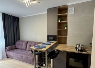 1-комнатная квартира в аренду, 28.8 м2, Мурино, Ручьёвский проспект, 20