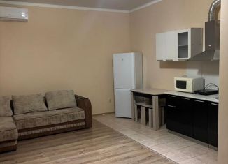 Сдам квартиру студию, 25 м2, Сочи, улица Шевцовой, 9, микрорайон Соболевка