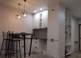 Аренда квартиры студии, 25 м2, Тюмень, улица Тимофея Чаркова, 28, ЖК Новый Мыс 3.0