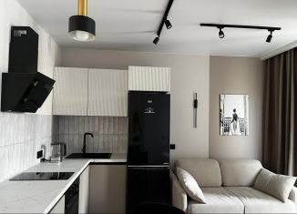 Продам квартиру студию, 28.8 м2, Санкт-Петербург, Среднерогатская улица, 13к1, ЖК Триумф Парк