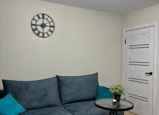 Сдается в аренду 1-комнатная квартира, 44 м2, Йошкар-Ола, улица Дружбы, 111, 3-й микрорайон