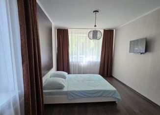 Продаю 1-комнатную квартиру, 30.4 м2, Орёл, Планерная улица, 49, Заводской район