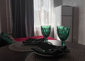Сдам квартиру студию, 24 м2, Мурино, улица Шоссе в Лаврики, 95