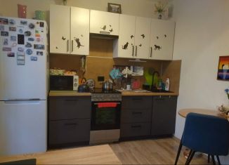 Квартира на продажу студия, 20.4 м2, Санкт-Петербург, Чарушинская улица, 22к1, метро Академическая