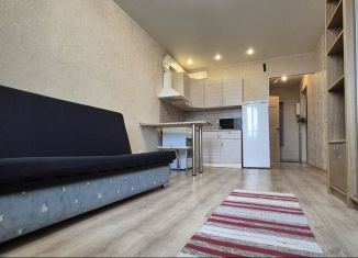 Продаю квартиру студию, 22.9 м2, Мурино, проспект Авиаторов Балтики, 5, ЖК Виктория