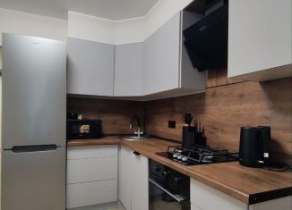 Сдается 1-комнатная квартира, 45 м2, посёлок Шушары, Пушкинская улица, 50