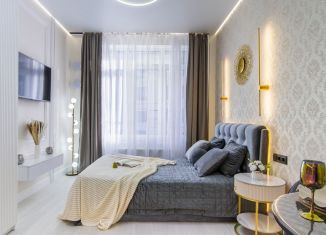 Сдаю в аренду квартиру студию, 28 м2, Санкт-Петербург, Ремесленная улица, 15