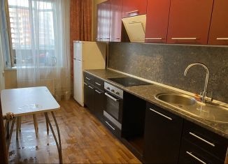 Сдается в аренду 1-ком. квартира, 35 м2, Пермь, Холмогорская улица, 4Г, ЖК Авиатор