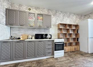 Аренда 1-ком. квартиры, 50 м2, Республика Башкортостан, улица Менделеева, 152/3