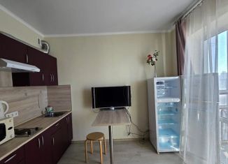 Сдаю квартиру студию, 32 м2, Ростов-на-Дону, улица Ерёменко, 108с1, ЖК Пятый Элемент