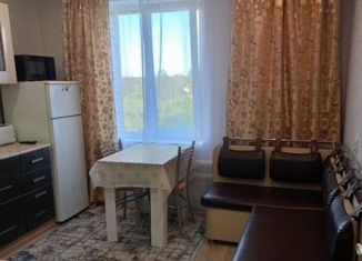 Сдача в аренду 1-ком. квартиры, 35 м2, Кингисепп, проспект Карла Маркса, 63Ак1