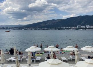 2-ком. квартира в аренду, 60 м2, Геленджик, Одесская улица, 22к3ск1